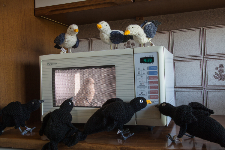 Bad Birds